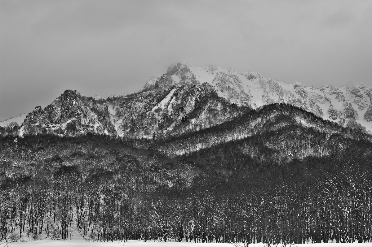 c0169106_1222686.jpg