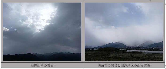f0231709_2441926.png