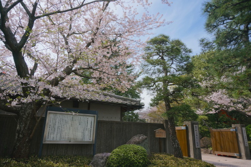 f0201310_16235299.jpg