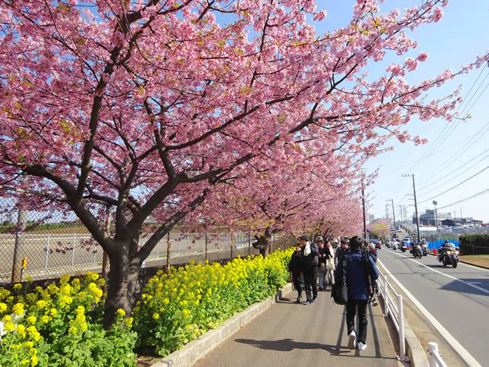 f0201310_16552531.jpg