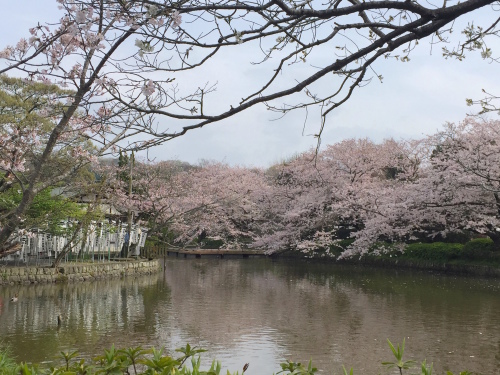 f0201310_19130039.jpg