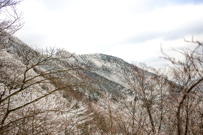 b0244811_22552458.jpg