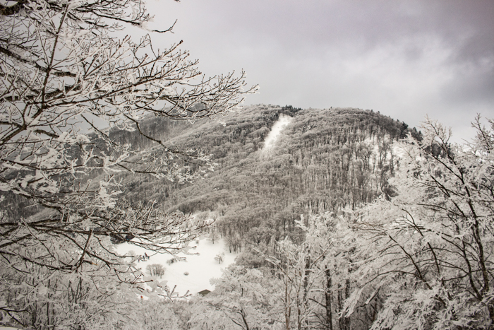 b0244811_22594020.jpg