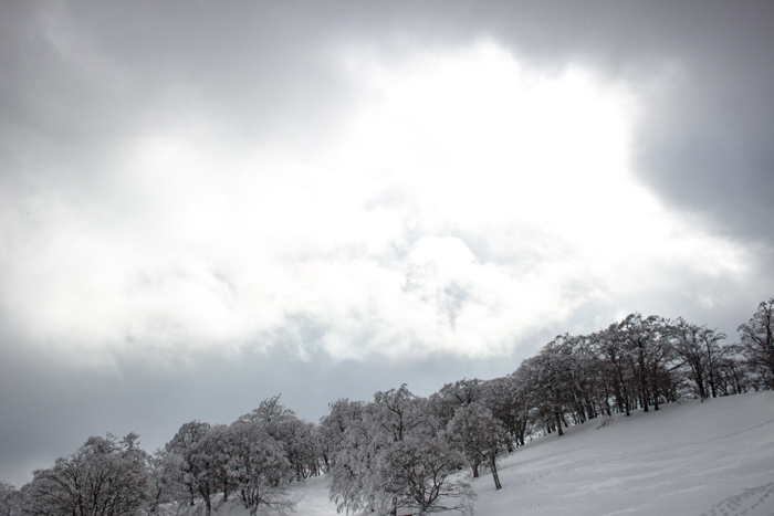 b0244811_2311130.jpg