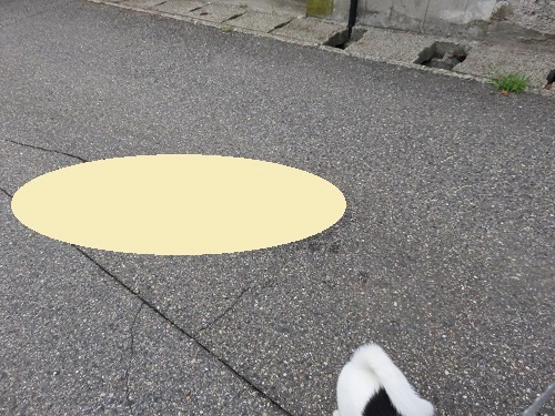 c0084117_20505414.jpg