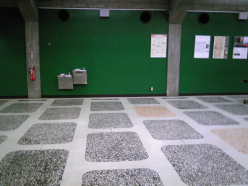 b0285619_20132560.jpg