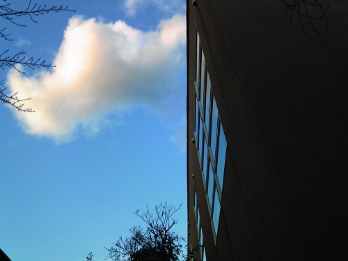 b0285619_20141088.jpg