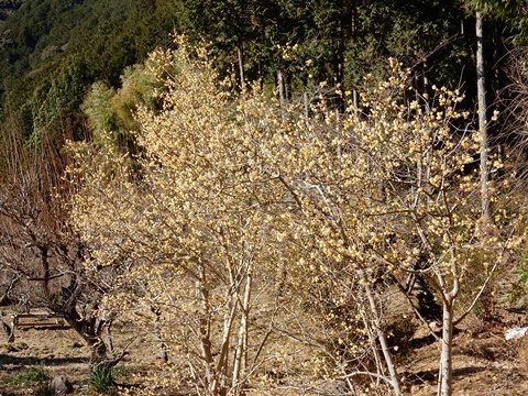 e0033229_1859814.jpg