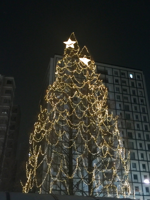 d0013834_10201132.jpg