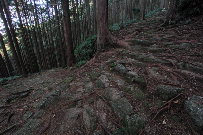 e0083238_2110872.jpg
