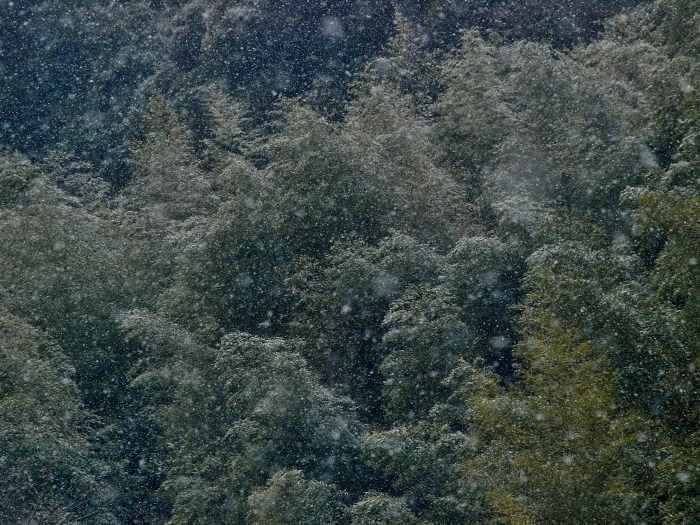 c0281841_163170.jpg