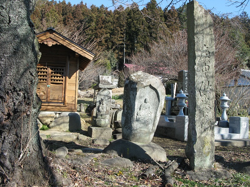 d0333943_5563882.jpg