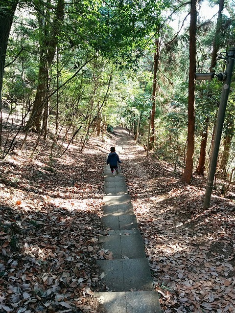 f0207943_15484309.jpg