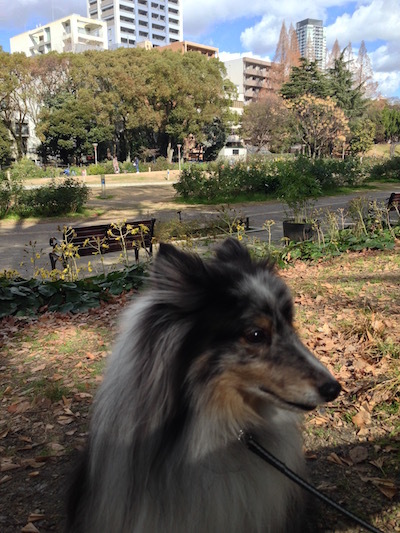 c0227245_21383592.jpg