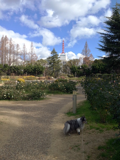 c0227245_21392657.jpg