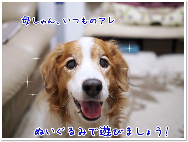 d0013149_00420704.jpg