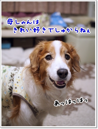 d0013149_01265238.jpg
