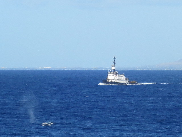 c0327061_18065328.jpg