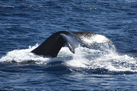 c0327061_18111878.png