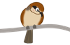 a0331562_0343812.png