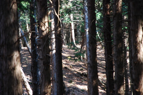 e0099662_06345016.jpg