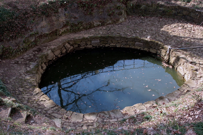 c0305565_17514212.jpg