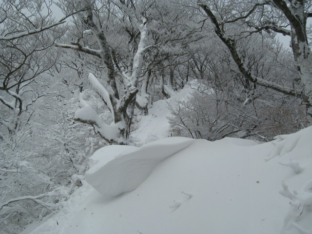 c0219866_1654350.jpg