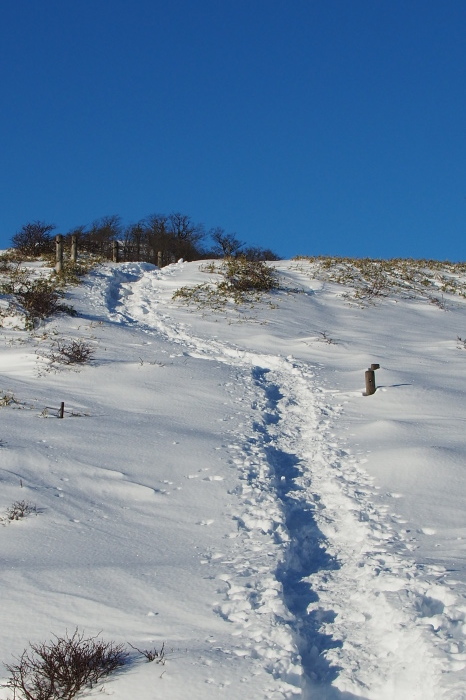 e0307372_15134259.jpg