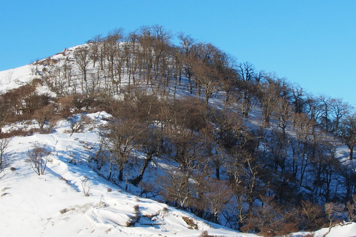 e0307372_15143110.jpg