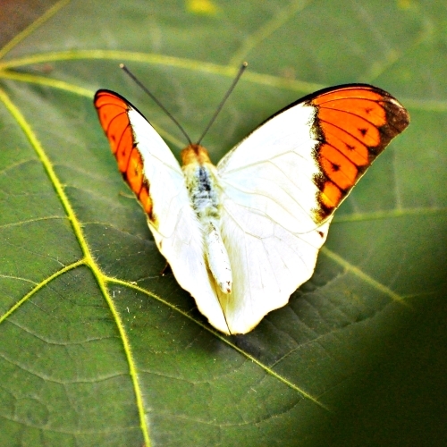 e0340485_14222471.jpg