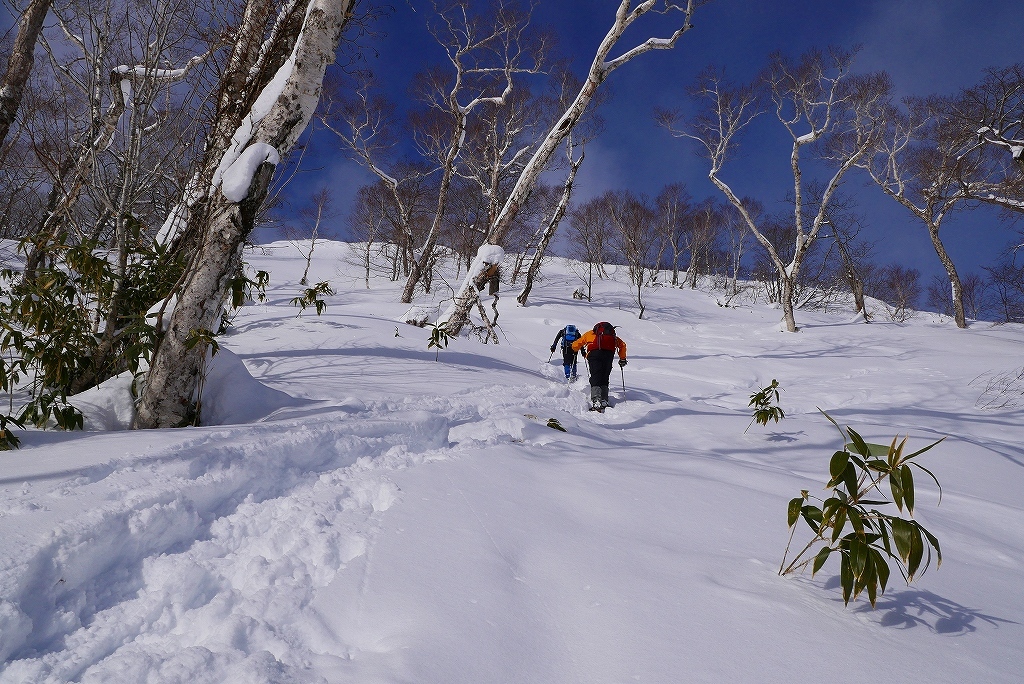 f0138096_20400464.jpg
