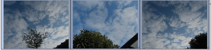 f0231709_9573965.png