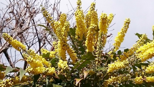 e0350415_01242733.jpg