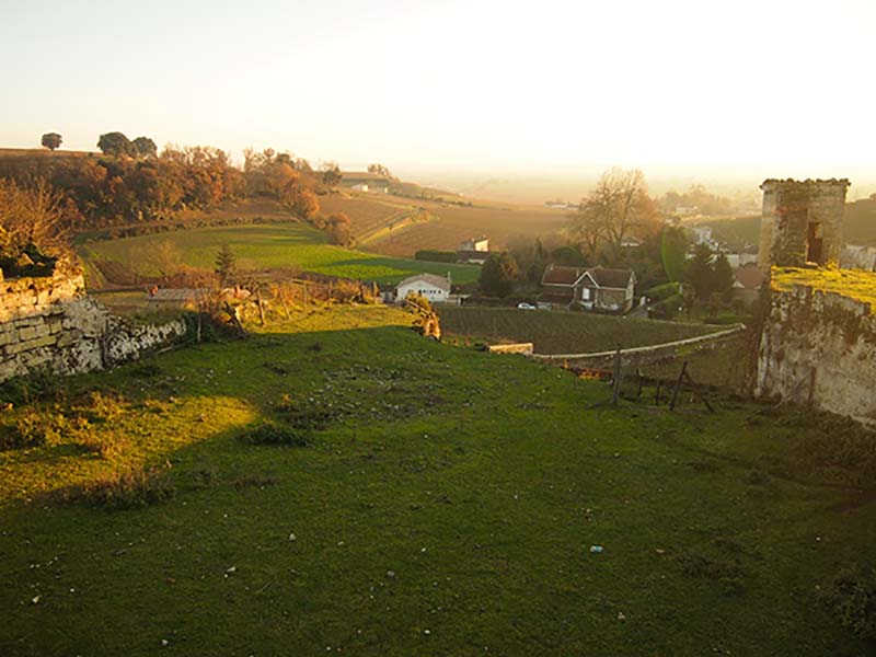 e0115516_1747655.jpg