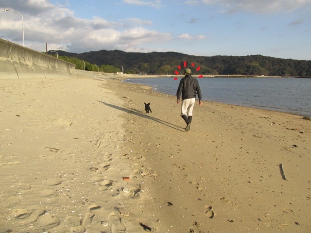 f0341616_17233477.jpg