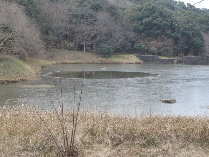 f0193521_8493540.jpg