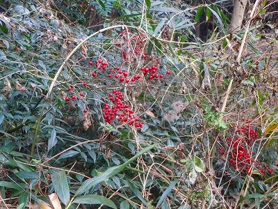 f0193521_8502244.jpg