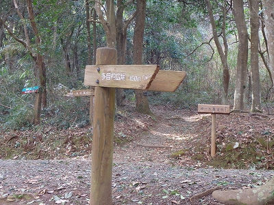 f0193521_850597.jpg