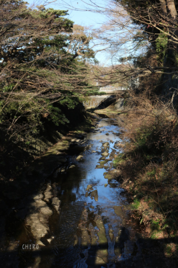 f0293522_22544992.jpg