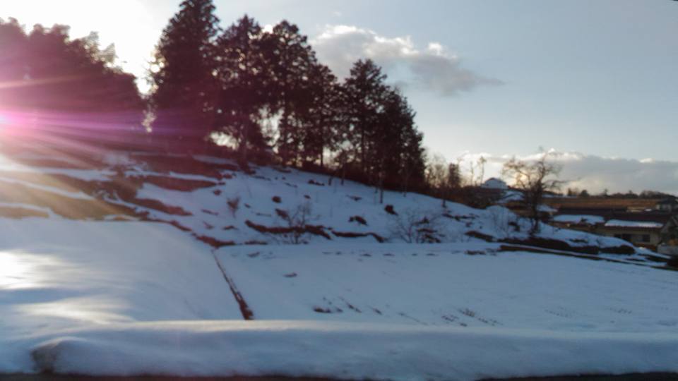 a0354123_22023999.jpg