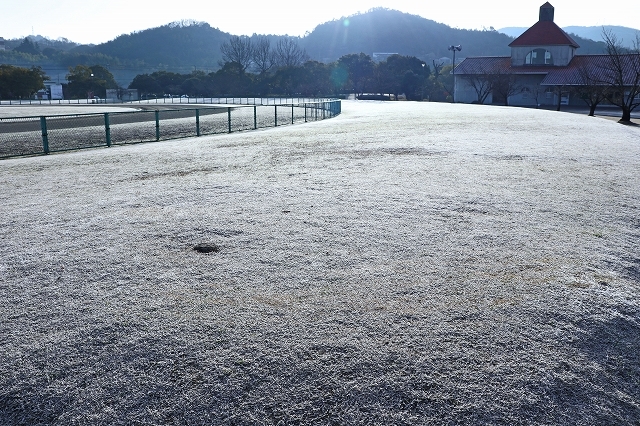 a0242438_21525224.jpg