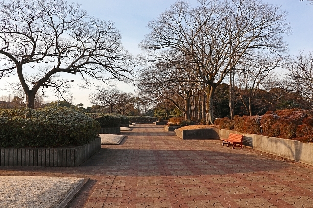 a0242438_21525308.jpg