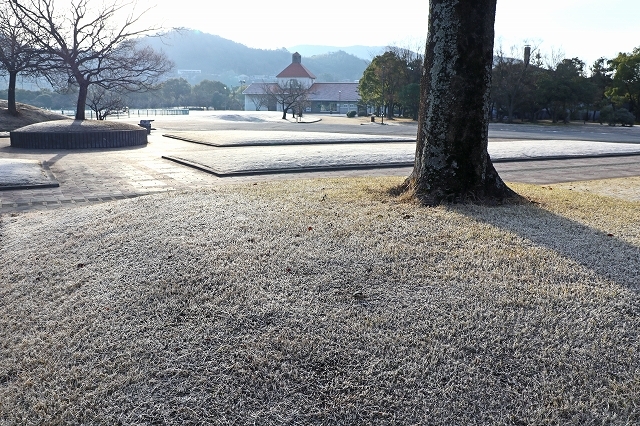 a0242438_21525471.jpg