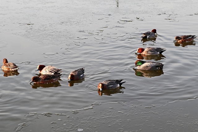 a0242438_21553941.jpg