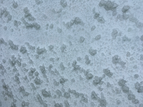 e0156339_21565583.jpg