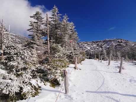 c0057946_22192149.jpg