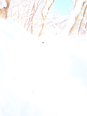 a0281547_16151311.jpg