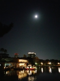 c0179348_20014327.jpg