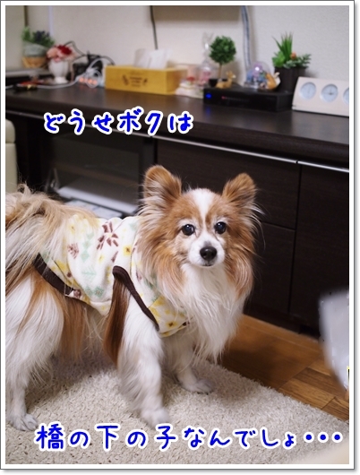 d0013149_00041665.jpg