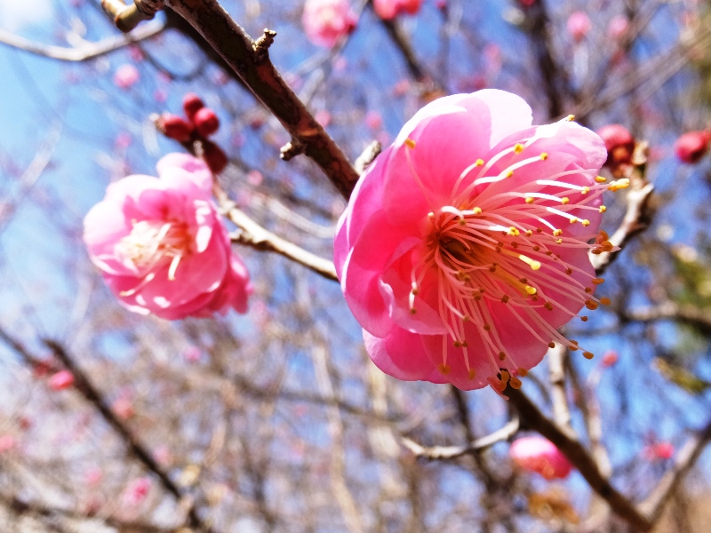 f0091250_1585531.jpg